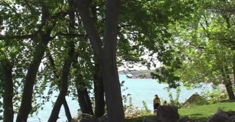 Lake & Trees - Vimeo thumbnail