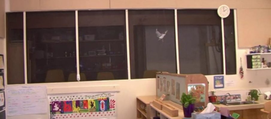 Kindergarten Classroom Tour - Vimeo thumbnail
